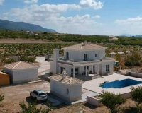 New Build - Villa - Pinoso - Camino Del Prado