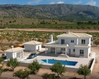 New Build - Villa - Pinoso - Camino Del Prado