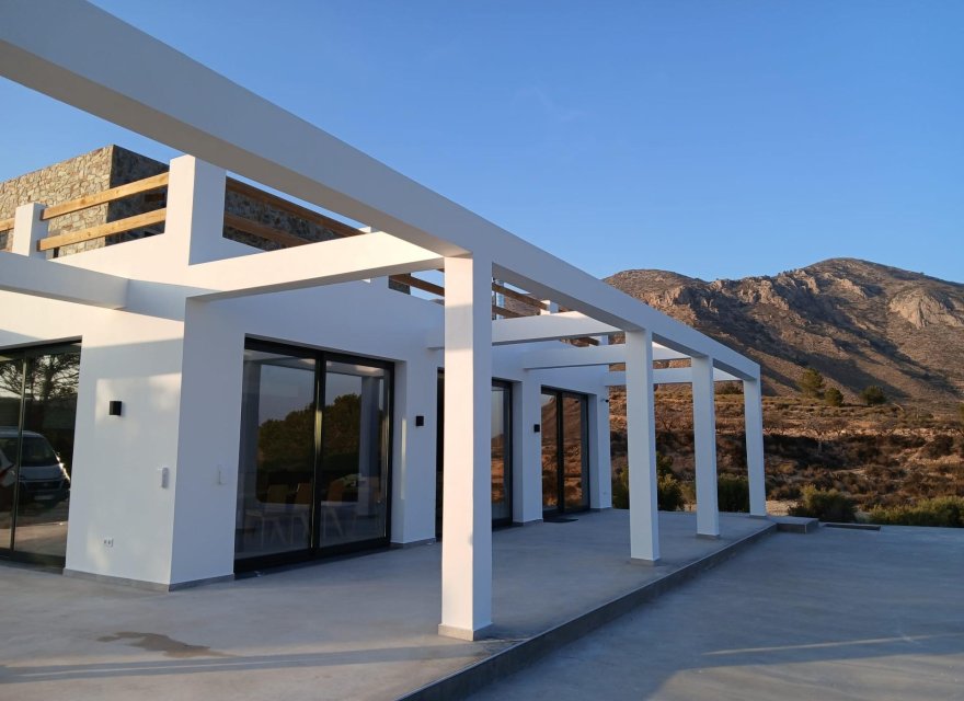 New Build - Villa - Pinoso - Casas Pastor