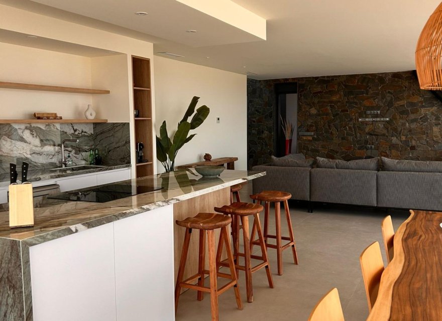 New Build - Villa - Pinoso - Casas Pastor