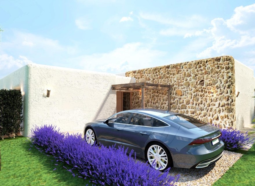 New Build - Villa - Pinoso - Rodriguillo