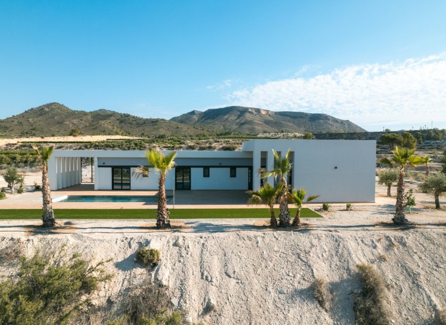 New Build - Villa - Pinoso