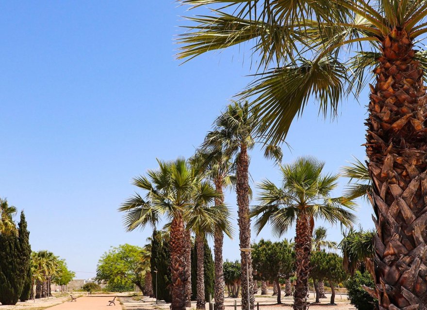 New Build - Villa - San Fulgencio - La Escuera