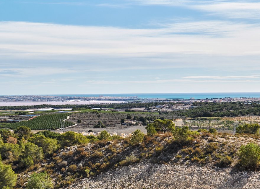 New Build - Villa - San Miguel de Salinas