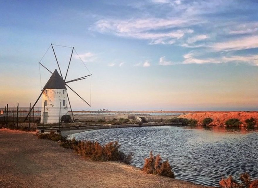 New Build - Villa - San Pedro del Pinatar - San Pedro Del Pinatar