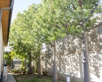 New Build - Villa - San Pedro del Pinatar - San Pedro Del Pinatar