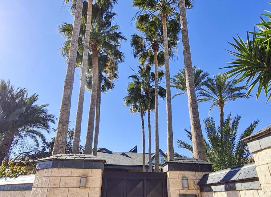 New Build - Villa - San Pedro del Pinatar - San Pedro Del Pinatar