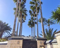 New Build - Villa - San Pedro del Pinatar - San Pedro Del Pinatar