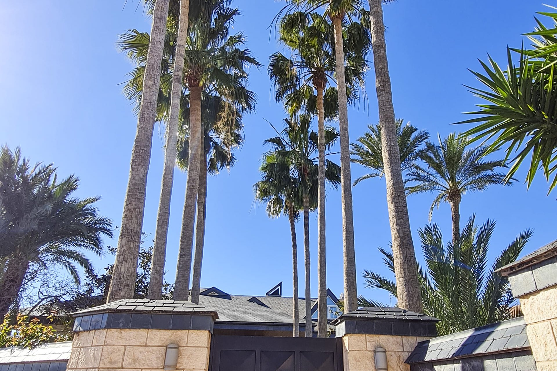 New Build - Villa - San Pedro del Pinatar - San Pedro Del Pinatar