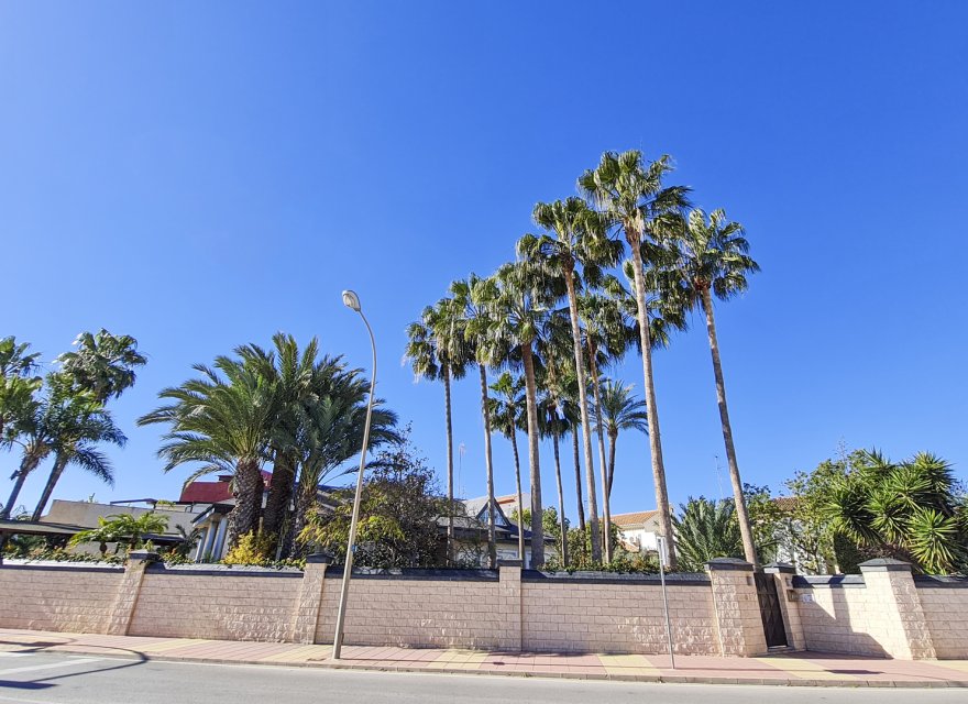 New Build - Villa - San Pedro del Pinatar - San Pedro Del Pinatar