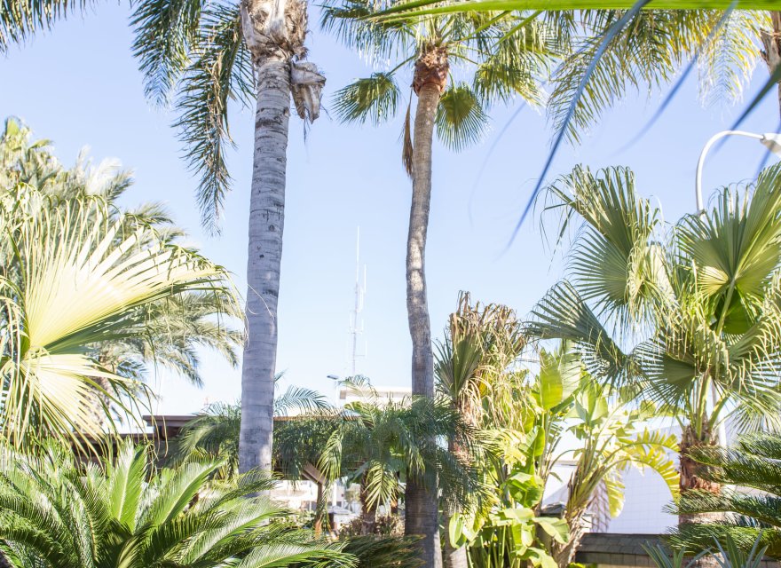 New Build - Villa - San Pedro del Pinatar - San Pedro Del Pinatar