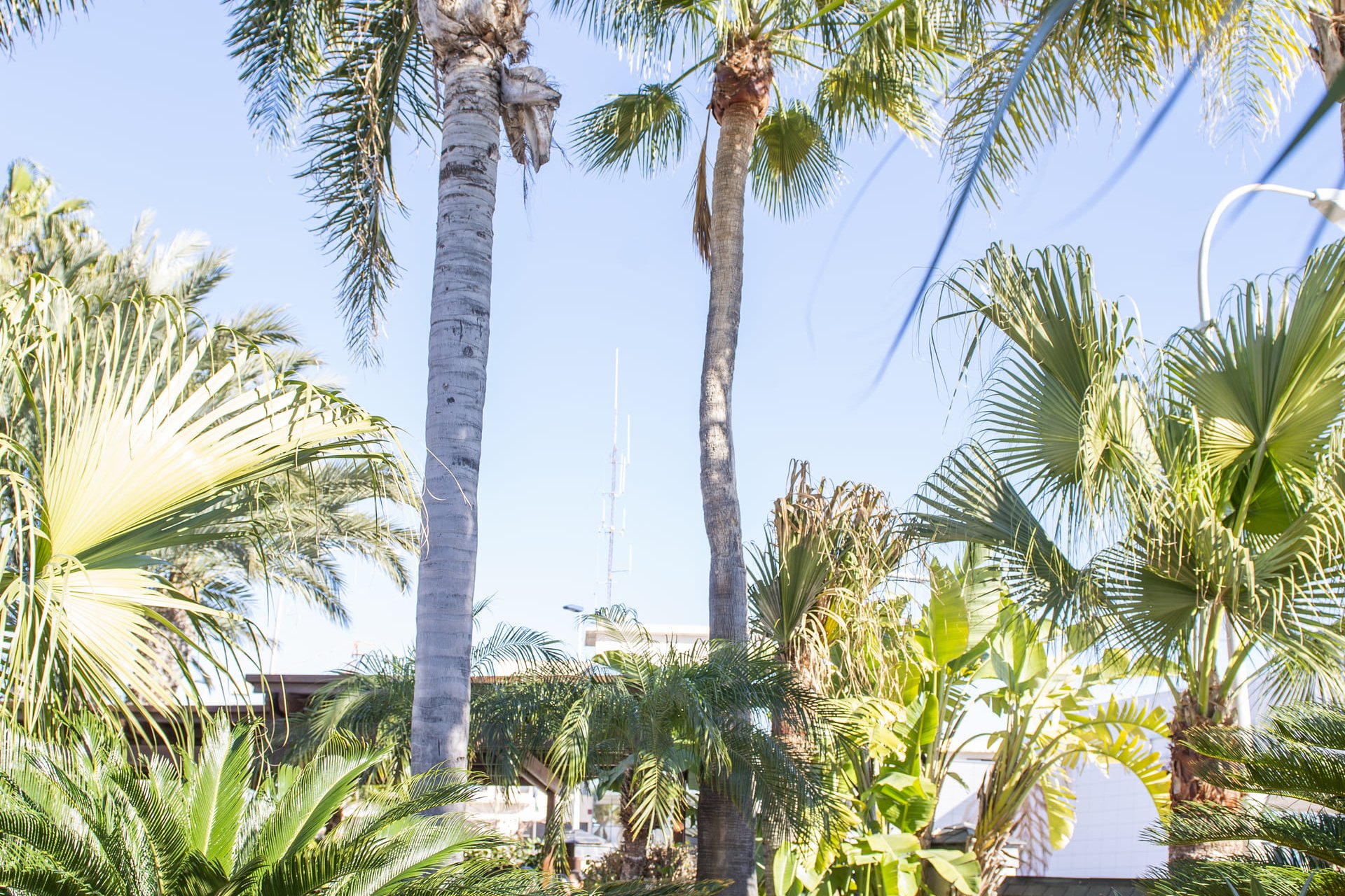 New Build - Villa - San Pedro del Pinatar - San Pedro Del Pinatar