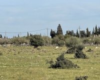 New Build - Villa - Santa María del Camí