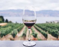 New Build - Villa - Sencelles