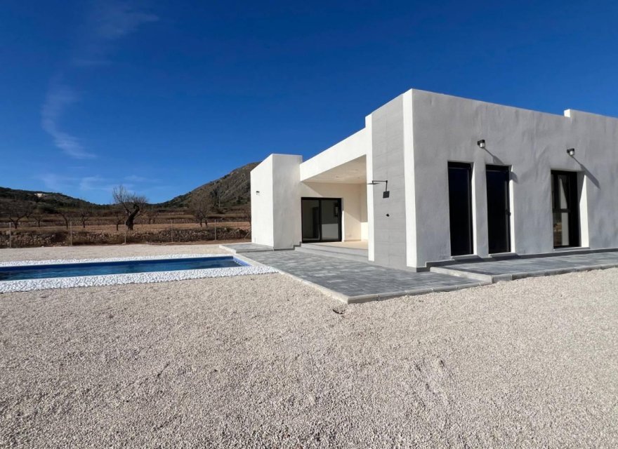New Build - Villa - Torre del Rico