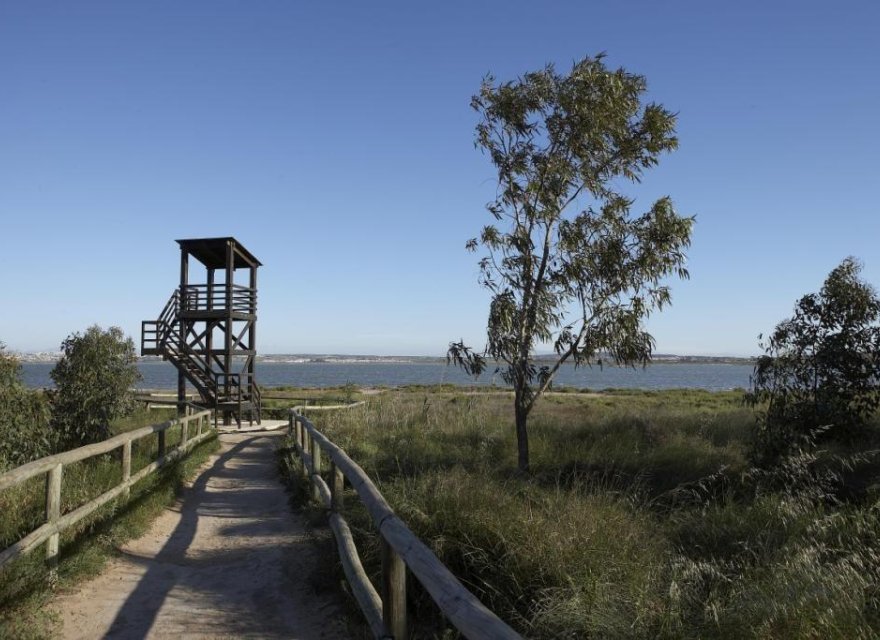 New Build - Villa - Torrevieja - Sector 25