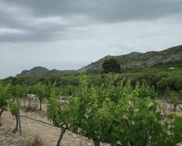 New Build - Villa - Yecla