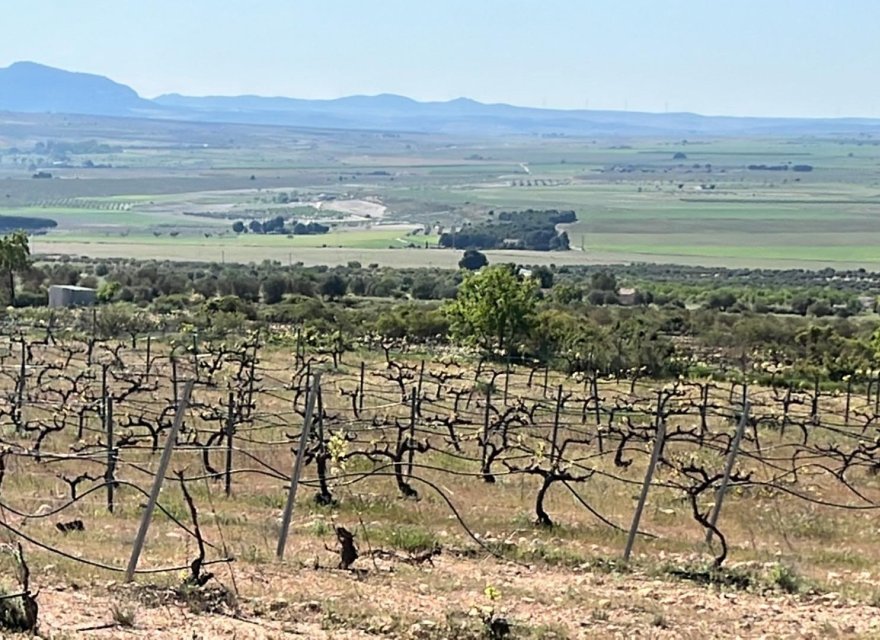 New Build - Villa - Yecla