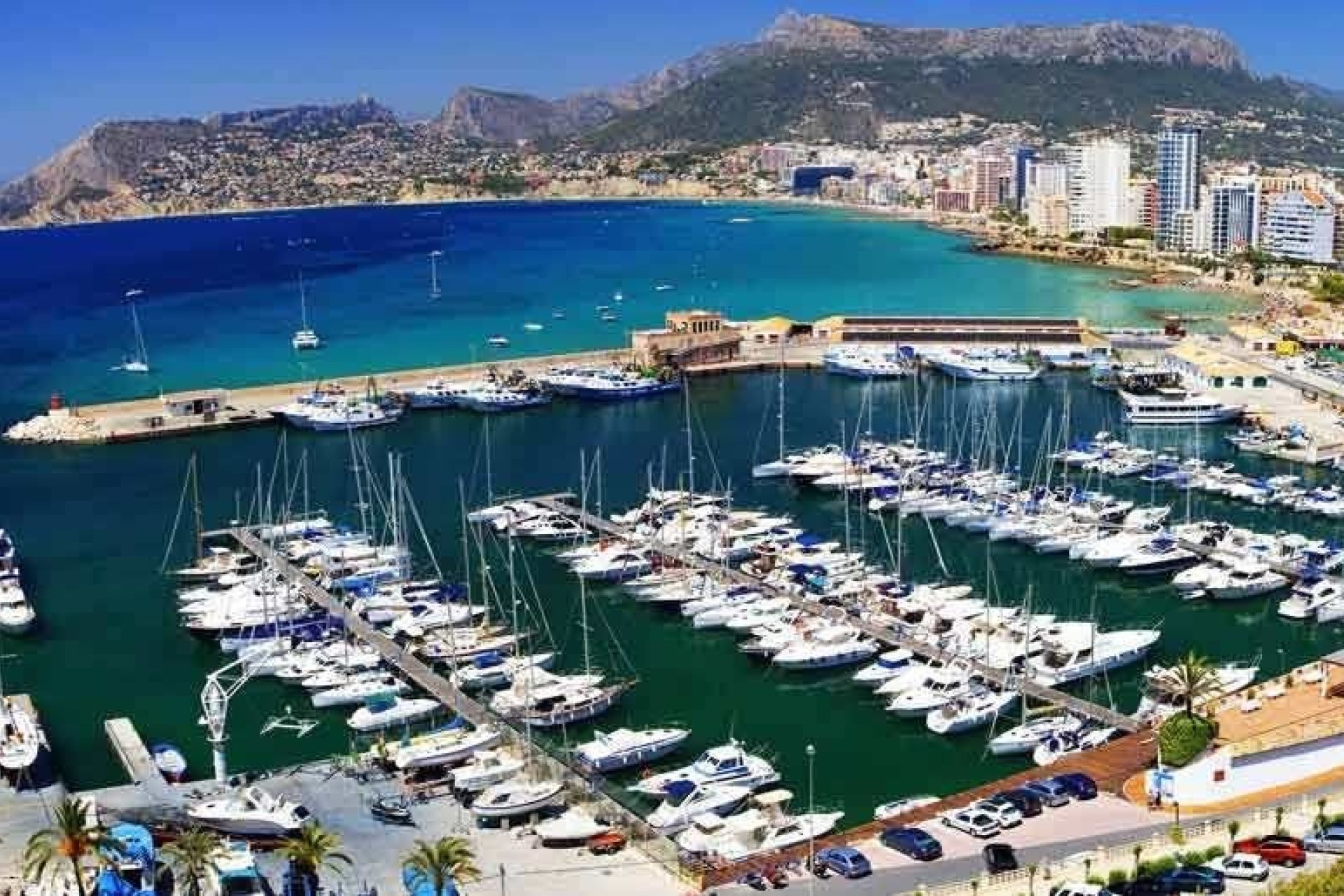 Новобудова - Апартаменти - Calpe - Playa del Bol