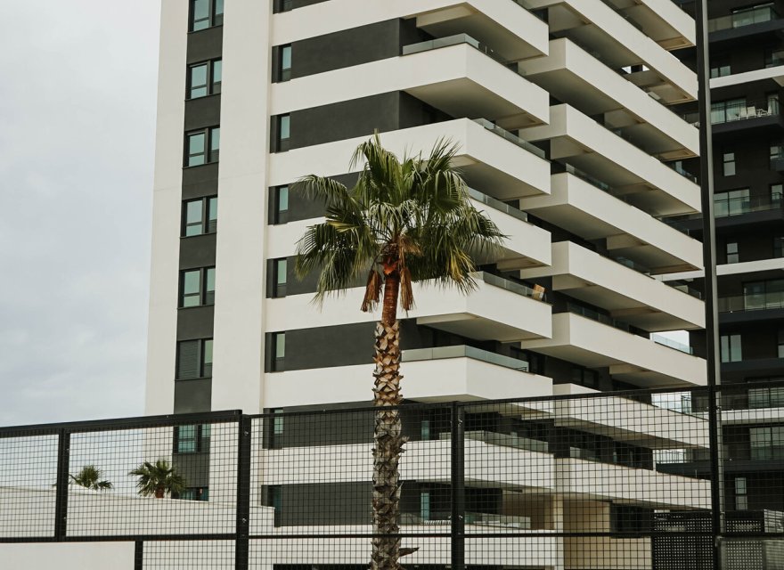 Новобудова - Апартаменти - Calpe