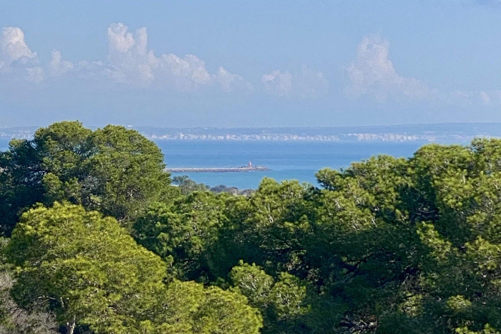 Новобудова - Апартаменти - Guardamar del Segura - Centro