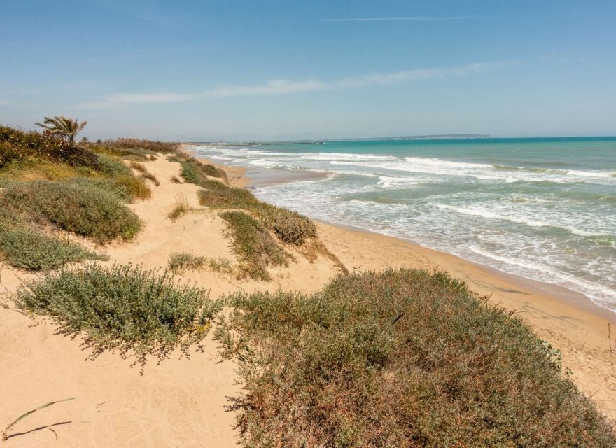 Новобудова - Апартаменти - Guardamar del Segura