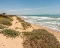 Новобудова - Апартаменти - Guardamar del Segura