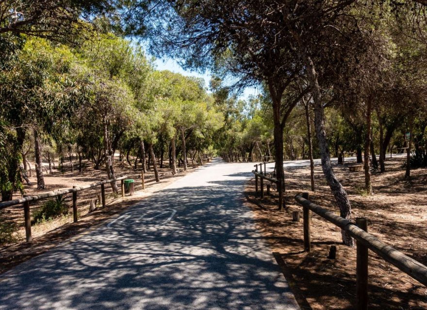 Новобудова - Апартаменти - Guardamar del Segura