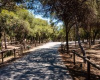 Новобудова - Апартаменти - Guardamar del Segura