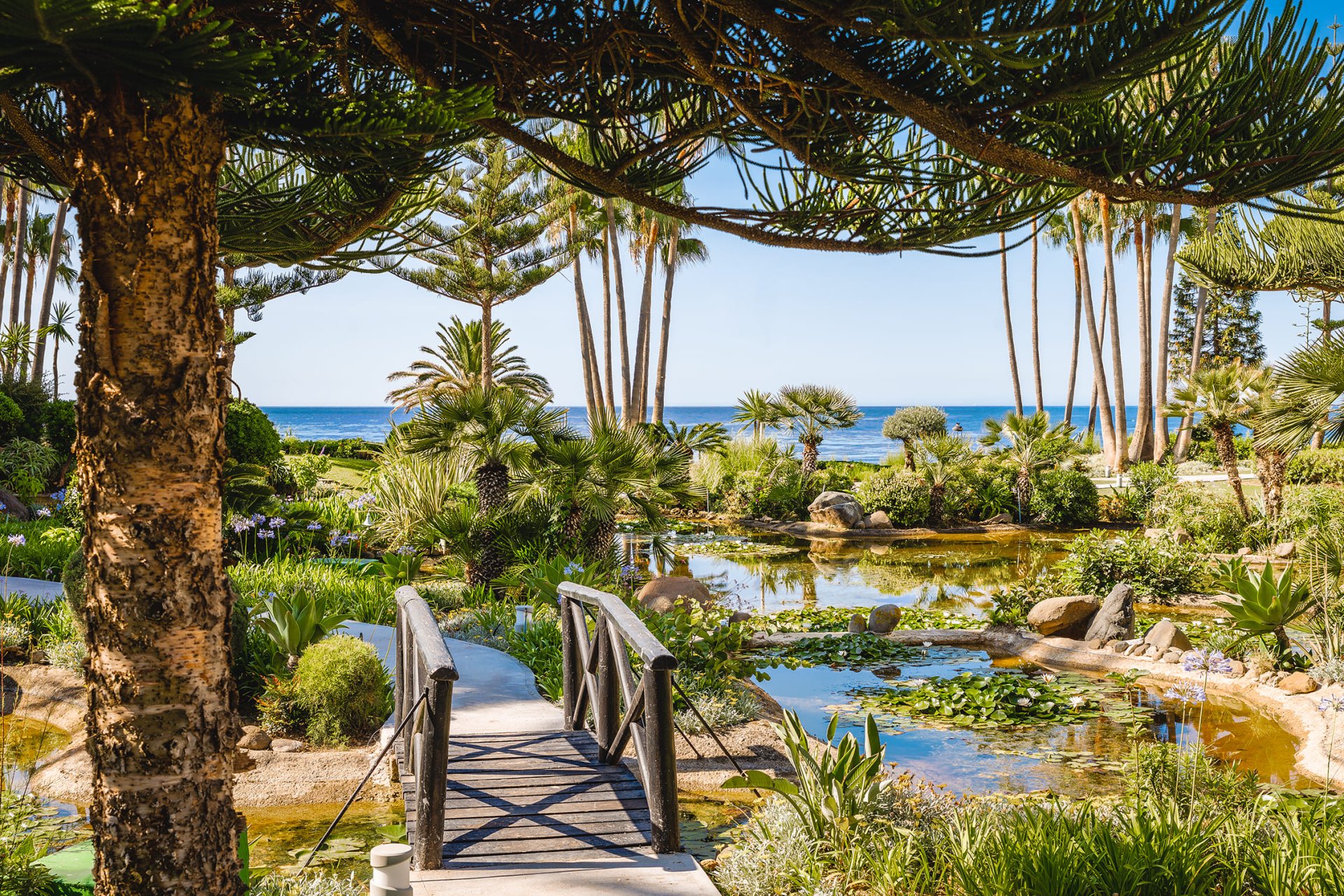 Новобудова - Апартаменти - Marbella - 