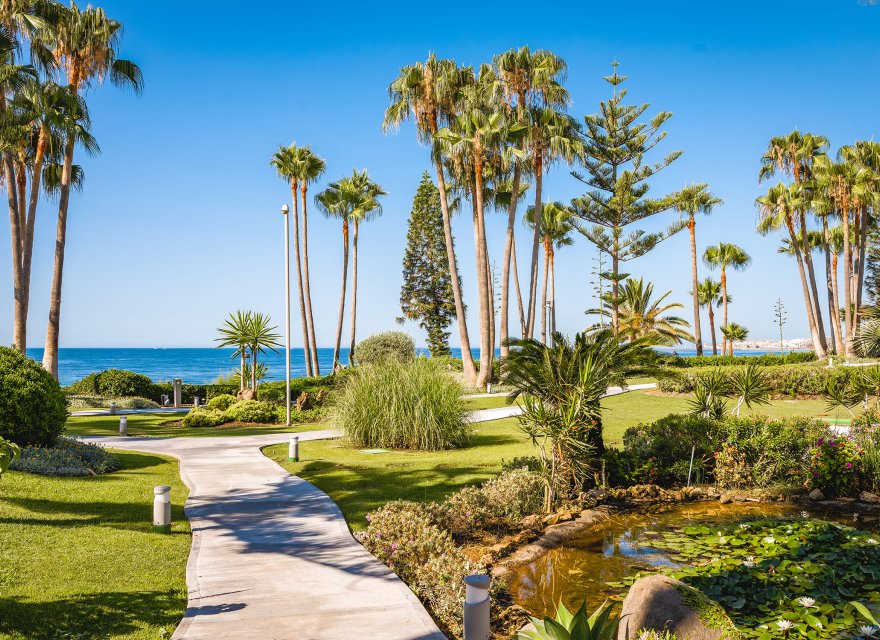 Новобудова - Апартаменти - Marbella - 