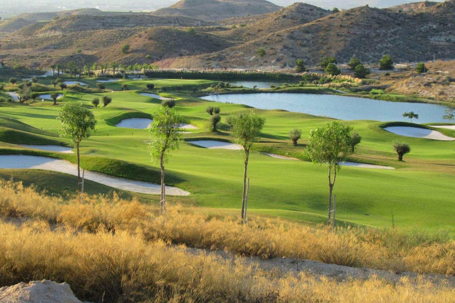 Новобудова - Апартаменти - Monforte del Cid - 