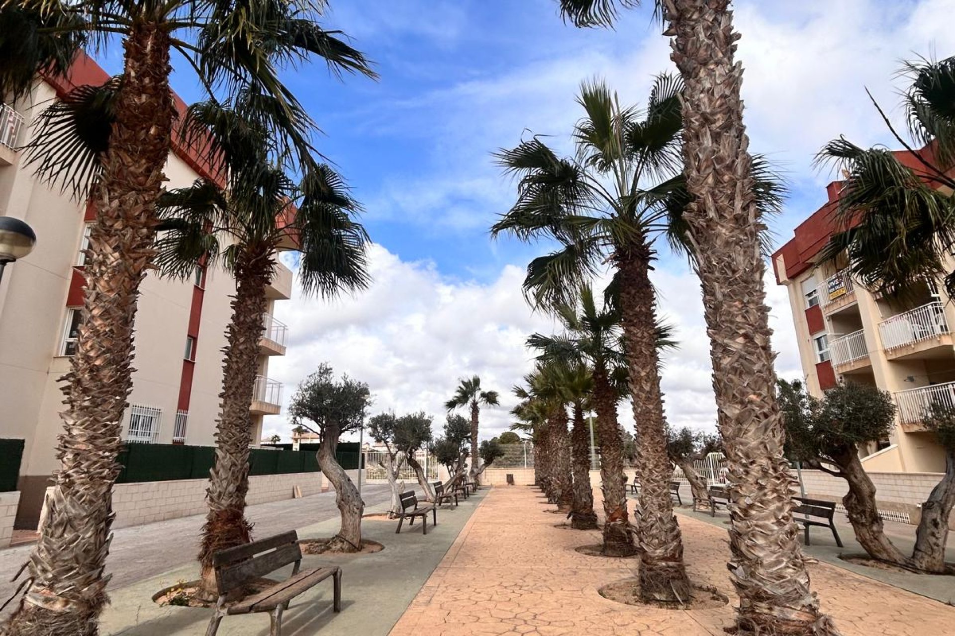 Новобудова - Апартаменти - Оріуела Коста - Orihuela Costa