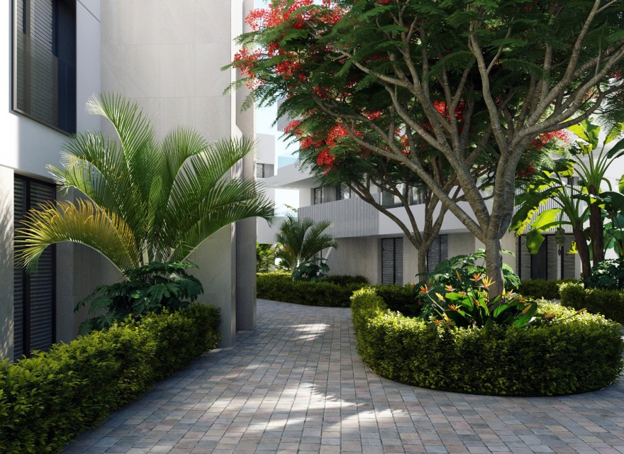 Новобудова - Апартаменти - Torre Pacheco - 