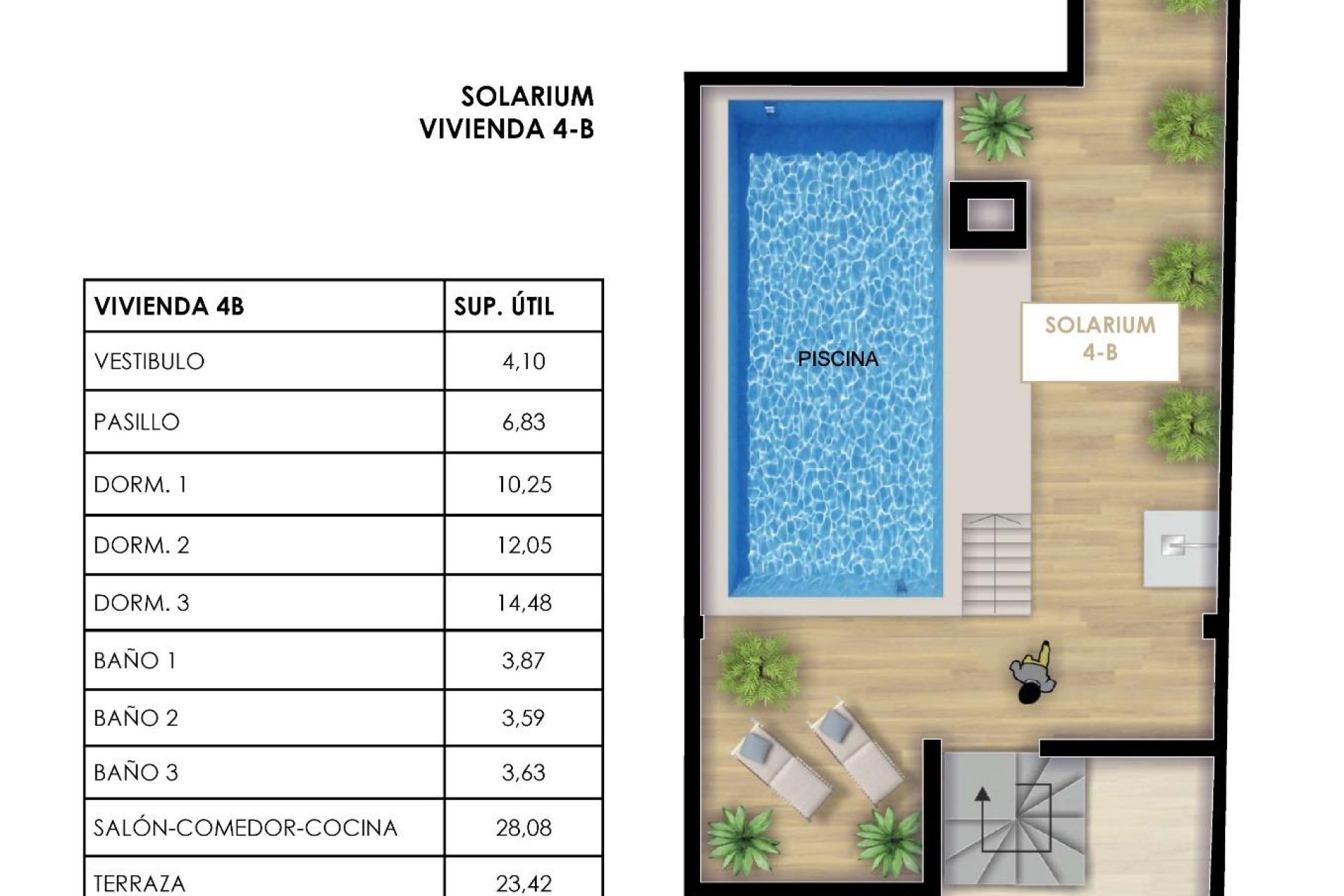 Новобудова - Апартаменти - Torrevieja - Centro