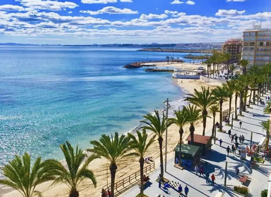 Новобудова - Апартаменти - Torrevieja