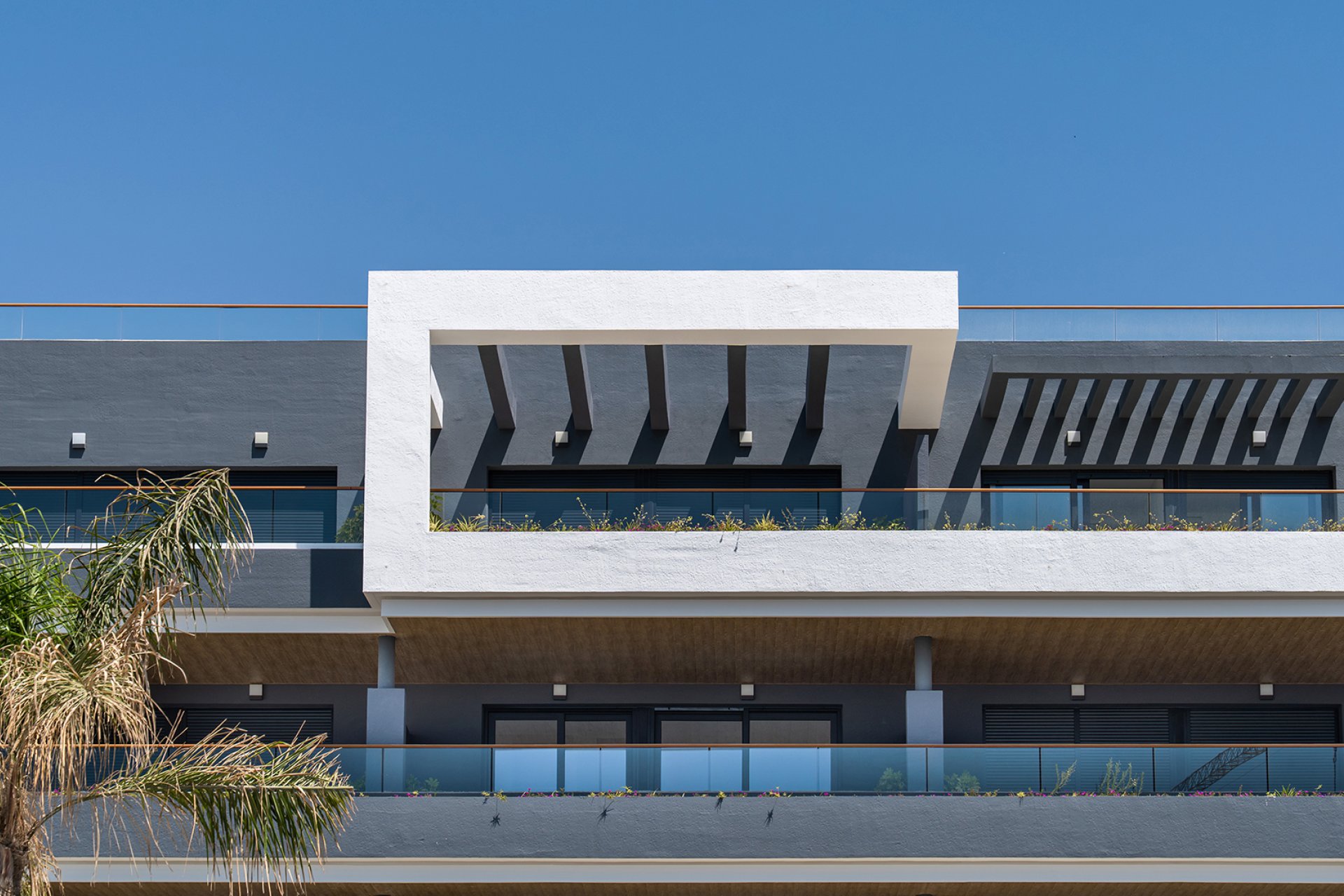 Новобудова - Апартаменти - Torrevieja - 