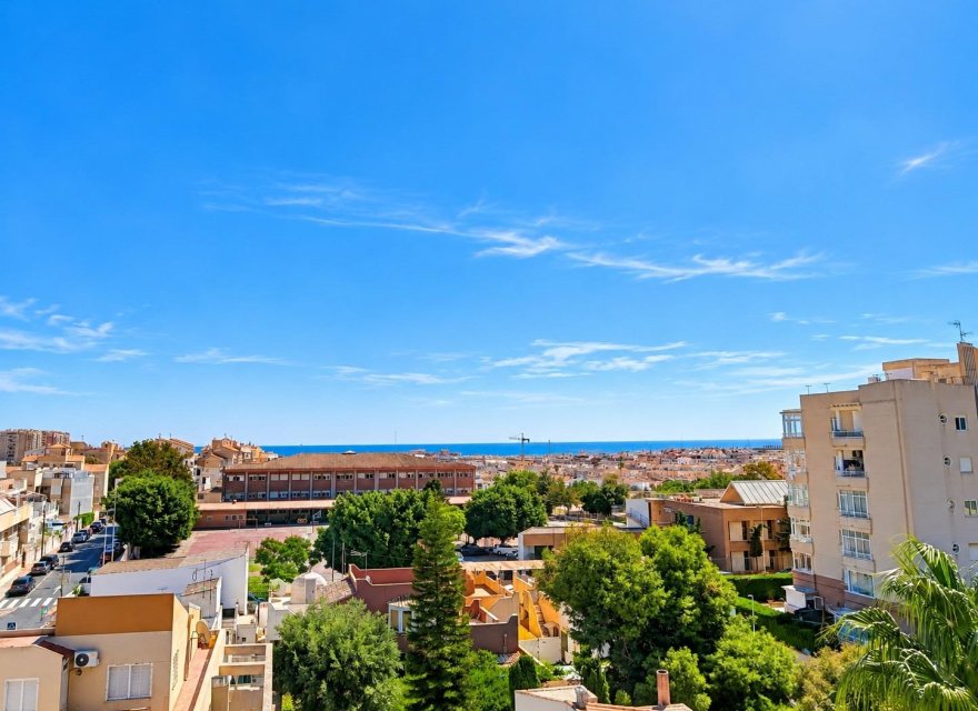 Новобудова - Апартаменти - Torrevieja - 