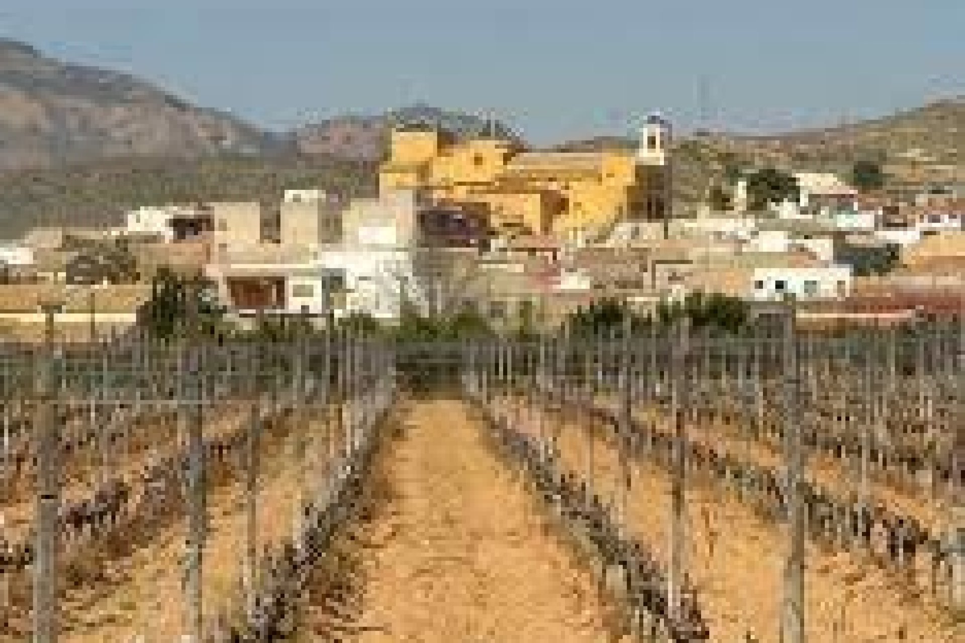 Новобудова - Бунгало - Hondón de las Nieves - El Salero