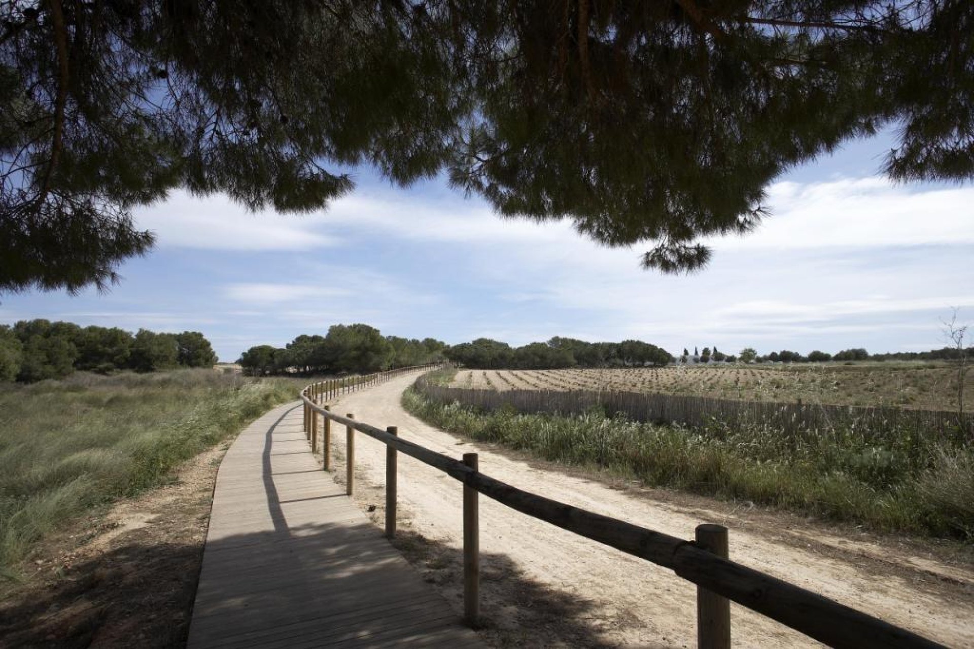 Новобудова - Бунгало - Torrevieja - Altos del Sol