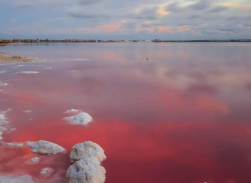 Новобудова - Бунгало - Torrevieja - Lago Jardín II