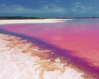 Новобудова - Бунгало - Torrevieja - Los Balcones