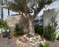 Новобудова - Бунгало - Torrevieja
