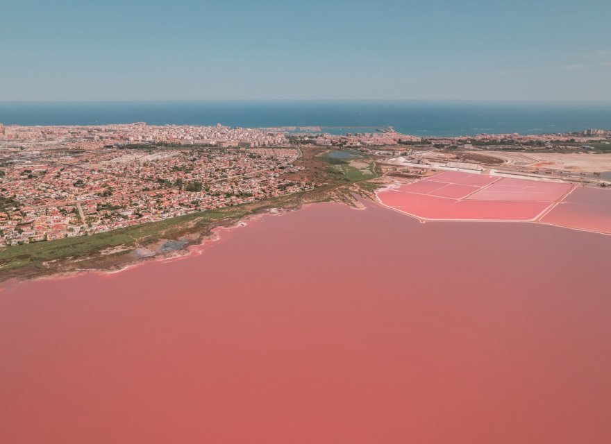 Новобудова - Бунгало - Torrevieja