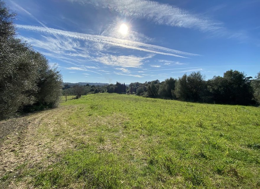 Новобудова - Ділянка - Muro