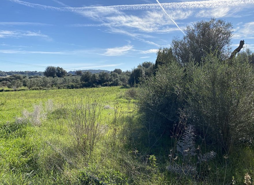 Новобудова - Ділянка - Muro