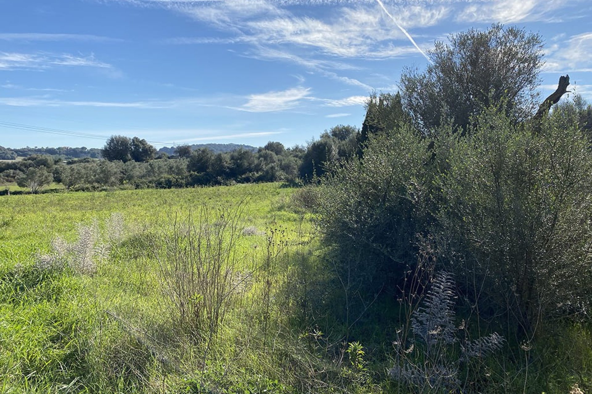 Новобудова - Ділянка - Muro