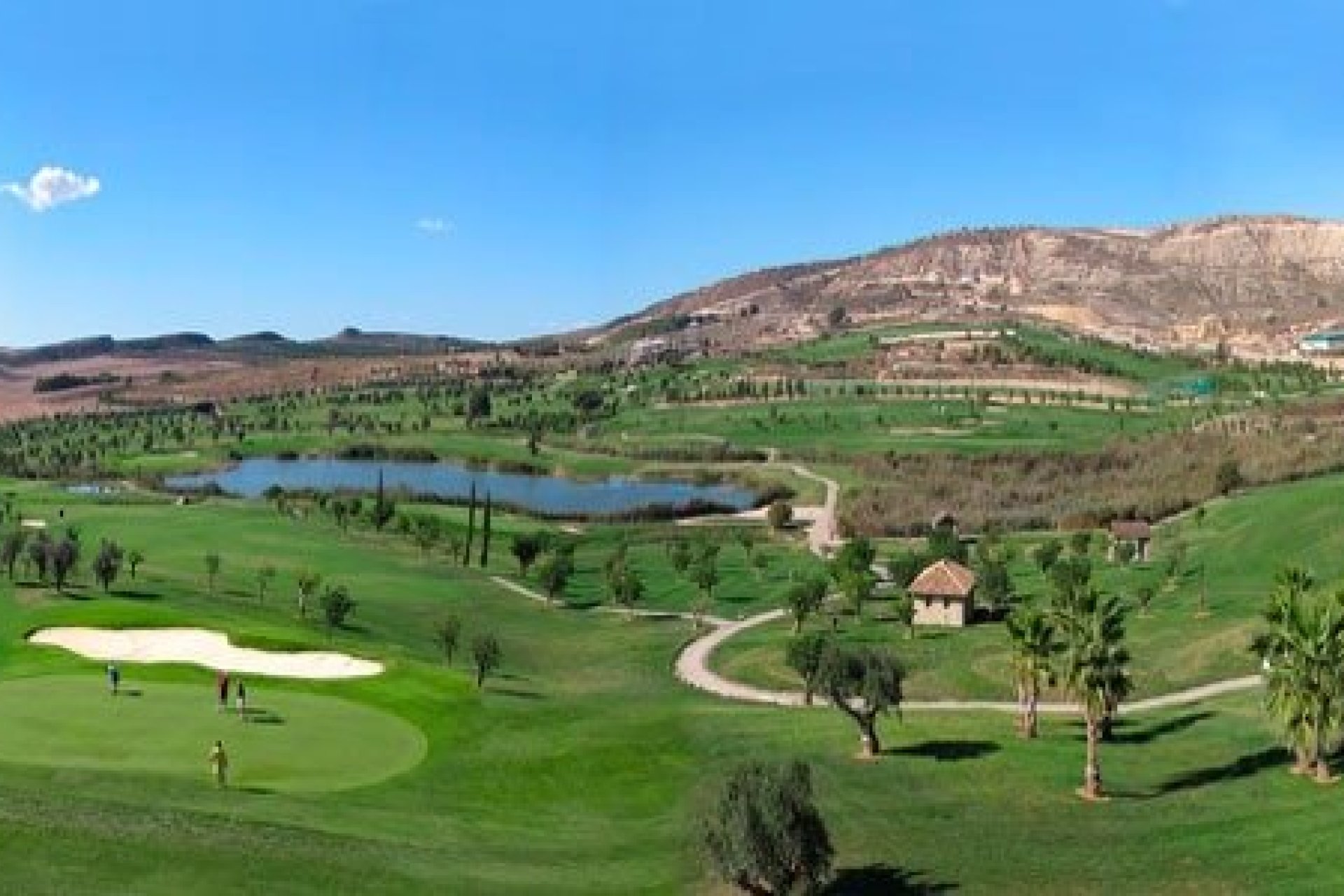 Новобудова - Вілла - Algorfa  - La Finca Golf