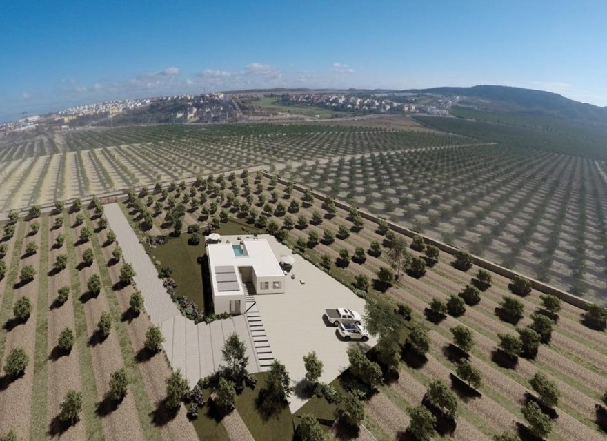 Новобудова - Вілла - Algorfa  - Lomas De La Juliana