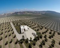 Новобудова - Вілла - Algorfa  - Lomas De La Juliana